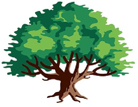 GreenOliveTreeService.jpg