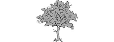 /img/webfiles/Tree3.jpg